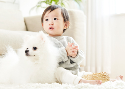 ペット可物件